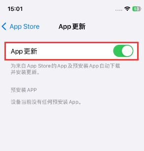 金江镇苹果15维修中心如何让iPhone15APP自动更新