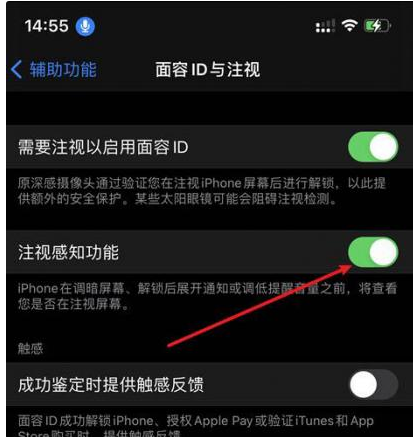 金江镇苹果14维修网点分享iPhone14注视感知功能有什么用 